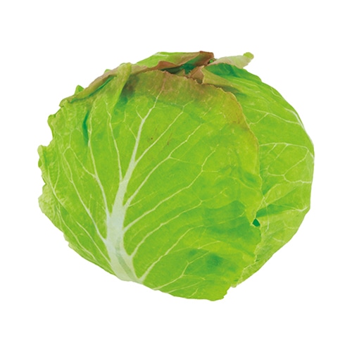 ドガ ディスプレイ　レタス  VF-1273 1個（ご注文単位1個）【直送品】