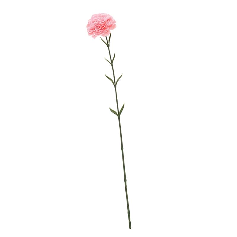 ドガ フレンチカーネーション シフォンピンク FLS-5329 1本（ご注文単位1本）【直送品】