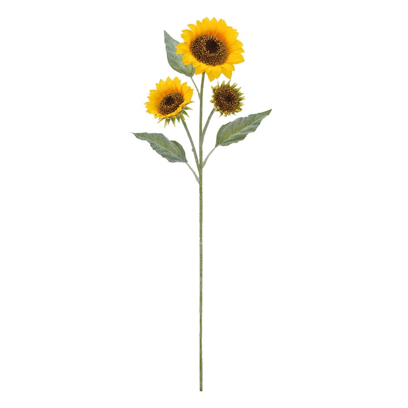 ドガ アンダルシアサンフラワー  FLS-5331 1本（ご注文単位1本）【直送品】