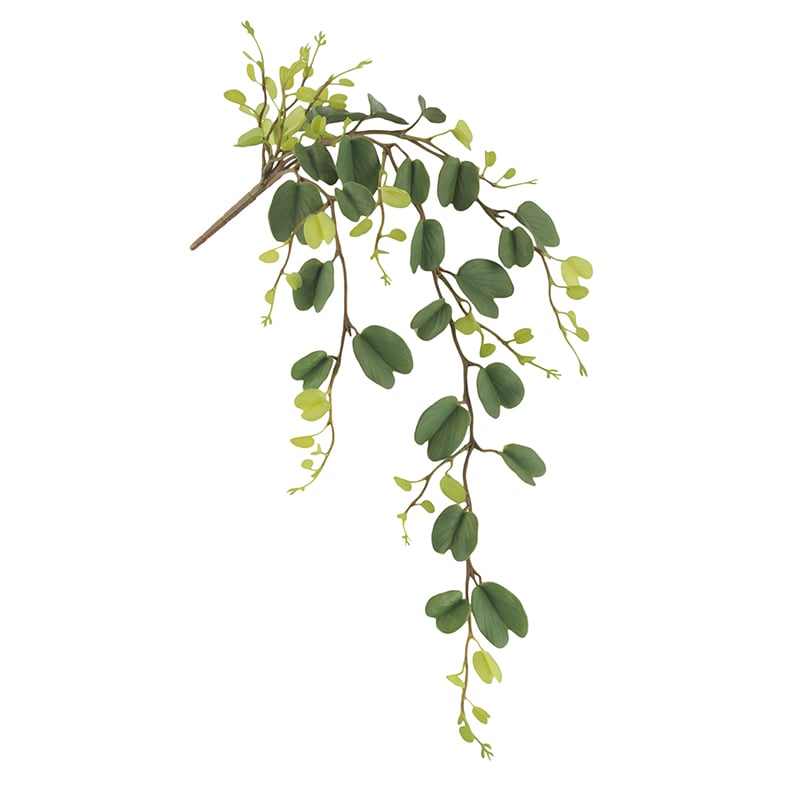 ドガ ホヤケリーバイン LEV-9029 1本(ご注文単位1本)【直送品】