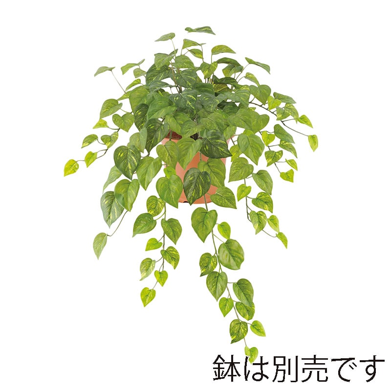 ドガ ウォータープルーフ　ポトスブッシュ ビニールコーティング LEB-8330 1本（ご注文単位1本）【直送品】