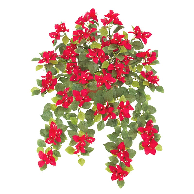 ドガ ブーゲンビリアブッシュ レッド FLB-8120 1本（ご注文単位1本）【直送品】