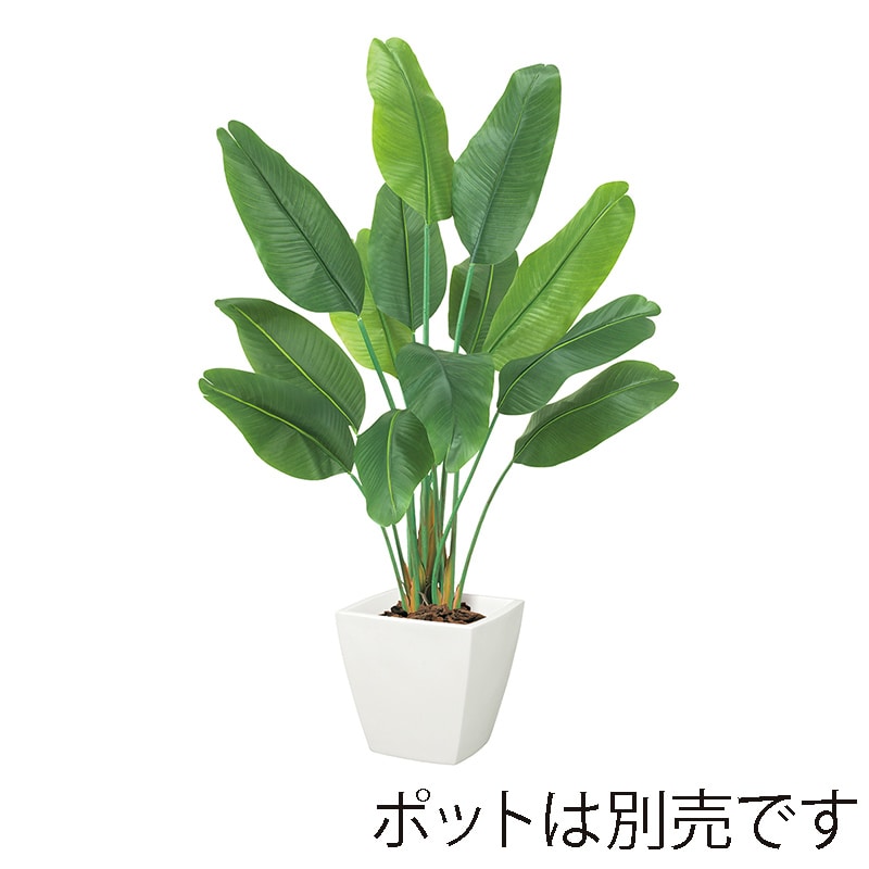 ドガ オーガスタツリー ビニールコーティング BT-2037 1本(ご注文単位1本)【直送品】