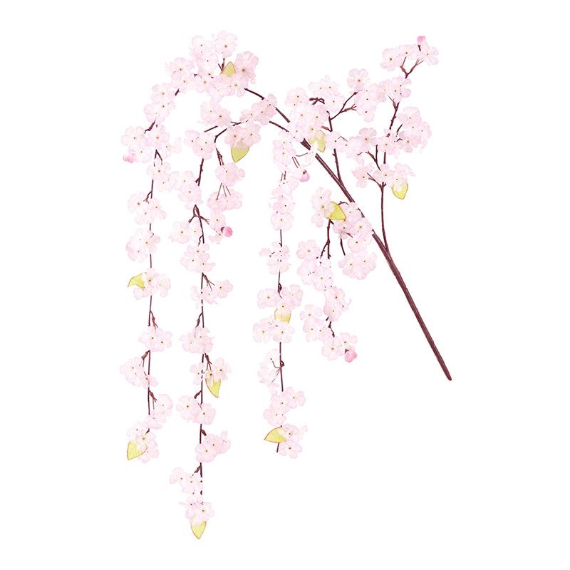 ドガ 吉野しだれ桜大枝  FLS-5337 1本（ご注文単位1本）【直送品】