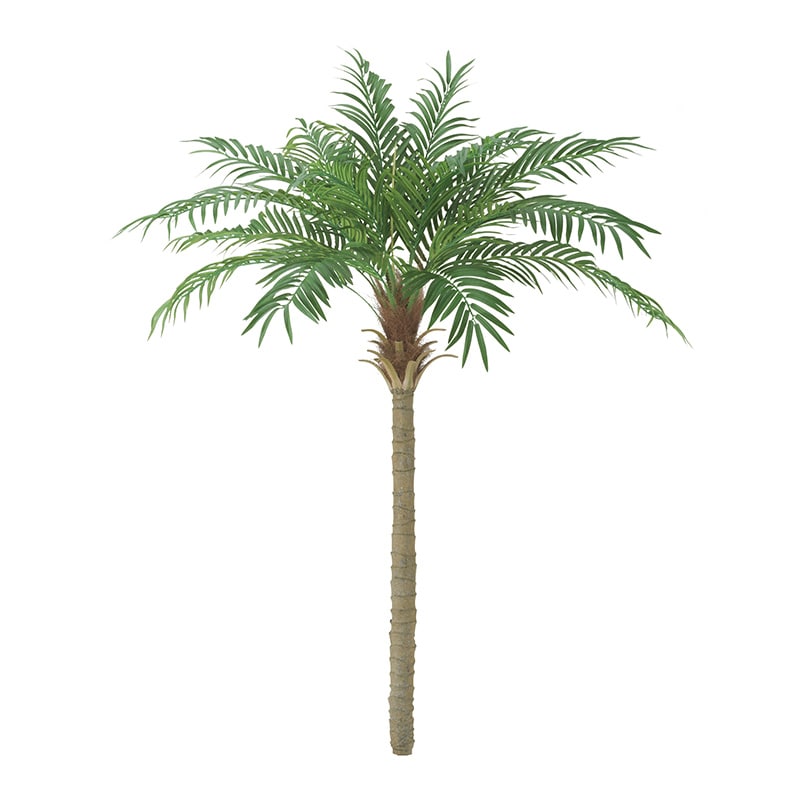 ドガ フェニックスパームツリー L BT-2038-L 1本（ご注文単位1本）【直送品】