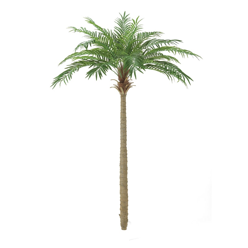 ドガ フェニックスパームツリー LL BT-2038-LL 1本（ご注文単位1本）【直送品】