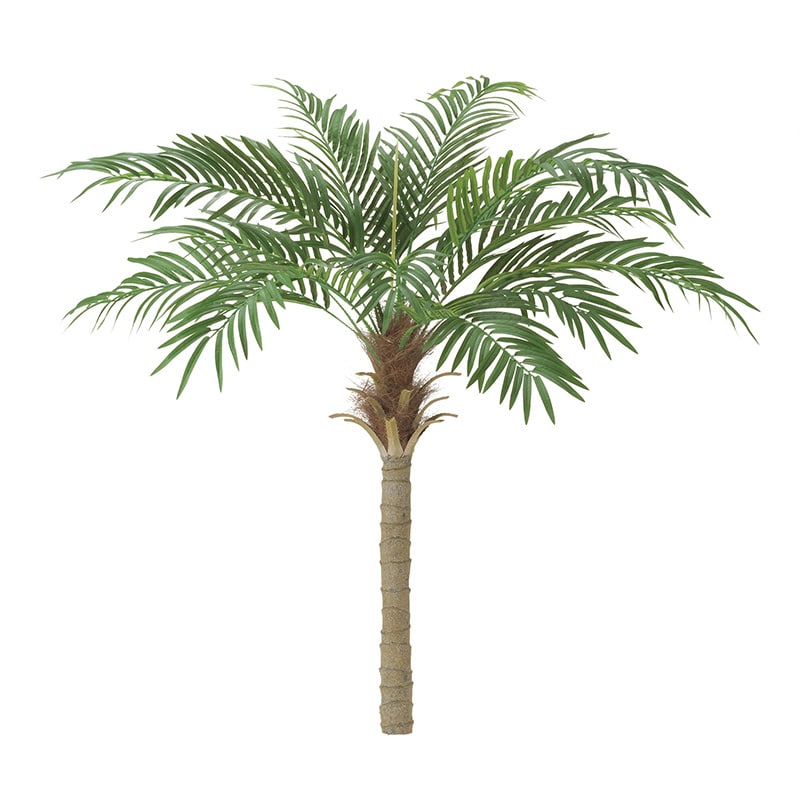 ドガ フェニックスパームツリー M BT-2038-M 1本（ご注文単位1本）【直送品】