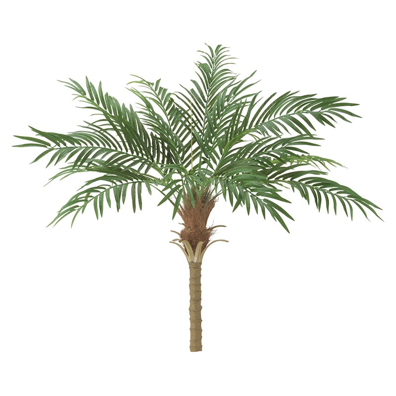 ドガ フェニックスパームツリー S BT-2038-S 1本（ご注文単位1本）【直送品】