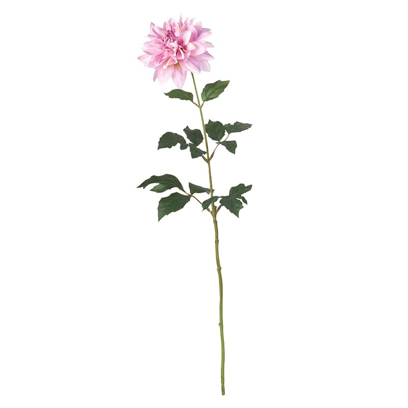 ドガ ダリア アンティークラベンダー FLS-5338 1本（ご注文単位1本）【直送品】