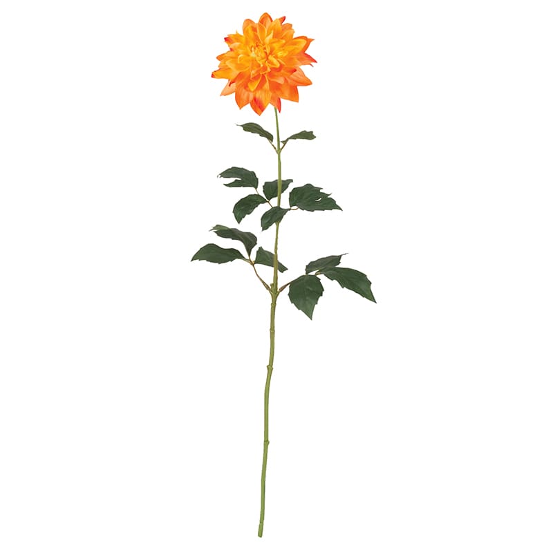 ドガ ダリア オレンジ FLS-5338 1本（ご注文単位1本）【直送品】