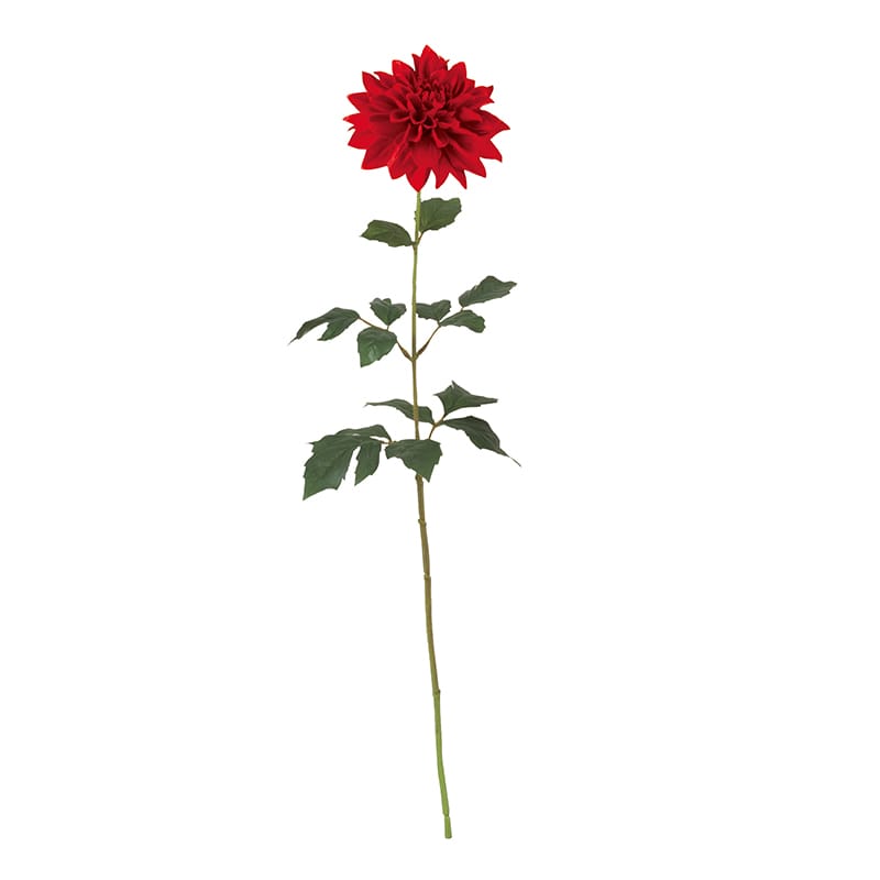 ドガ ダリア レッド FLS-5338 1本（ご注文単位1本）【直送品】