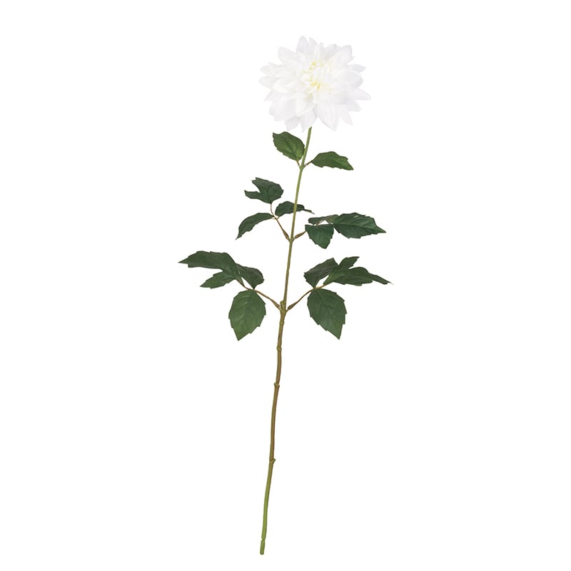 ドガ ダリア ホワイト FLS-5338 1本（ご注文単位1本）【直送品】