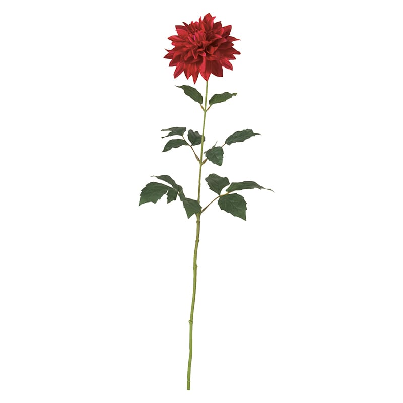 ドガ ダリア ワイン FLS-5338 1本（ご注文単位1本）【直送品】