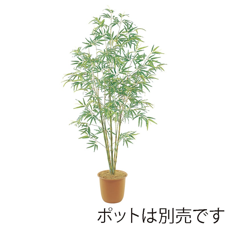 ドガ バンブーツリー M　210cm BT-2039-M 1本（ご注文単位1本）【直送品】