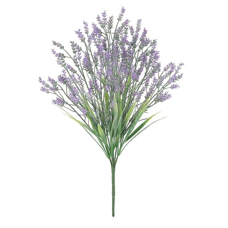 ドガ イングリッシュラベンダーブッシュ FLB-8125 1本(ご注文単位1本)【直送品】