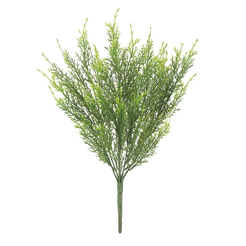 ドガ シダーブッシュ  LEB-8334 1本（ご注文単位1本）【直送品】