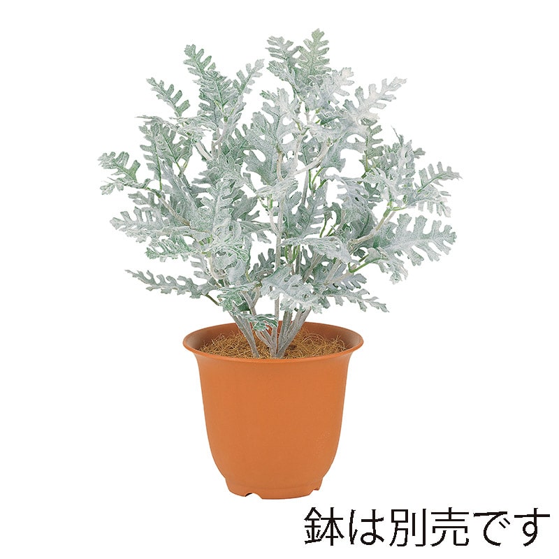 ドガ フロストダスティミラーブッシュ  LEB-8336 1本（ご注文単位1本）【直送品】