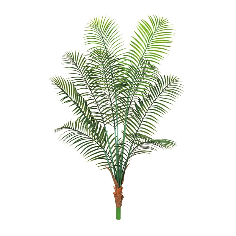 ドガ アレカパームツリー  LET-2087 1本（ご注文単位1本）【直送品】