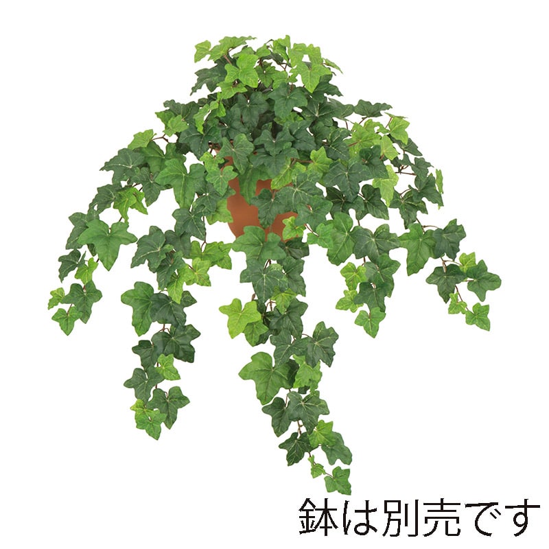 ドガ バーミンガムアイビーブッシュ L LEB-8341-L 1本（ご注文単位1本）【直送品】