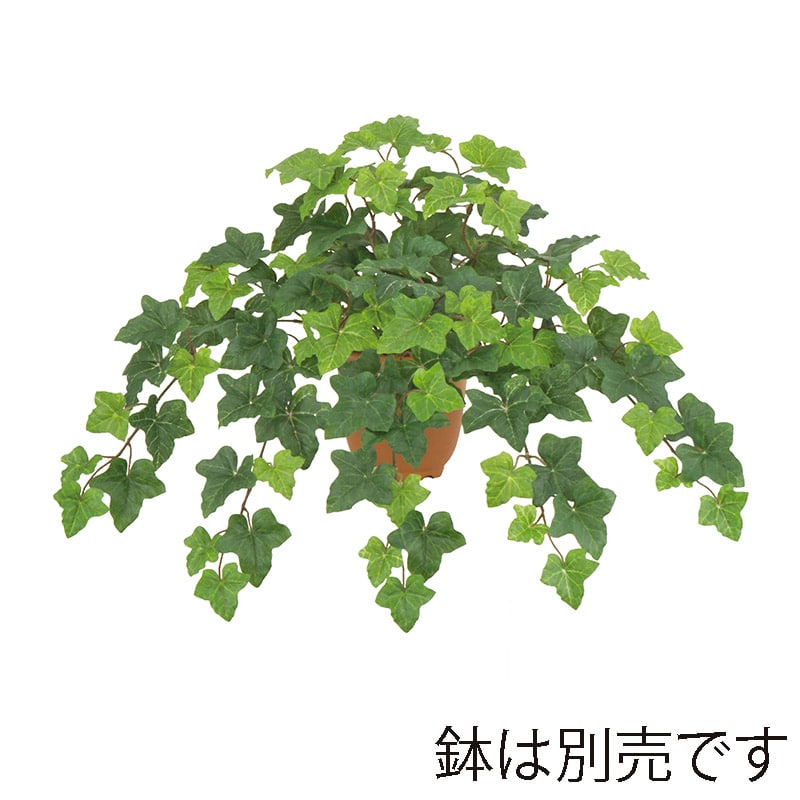 ドガ バーミンガムアイビーブッシュ S LEB-8341-S 1本（ご注文単位1本）【直送品】