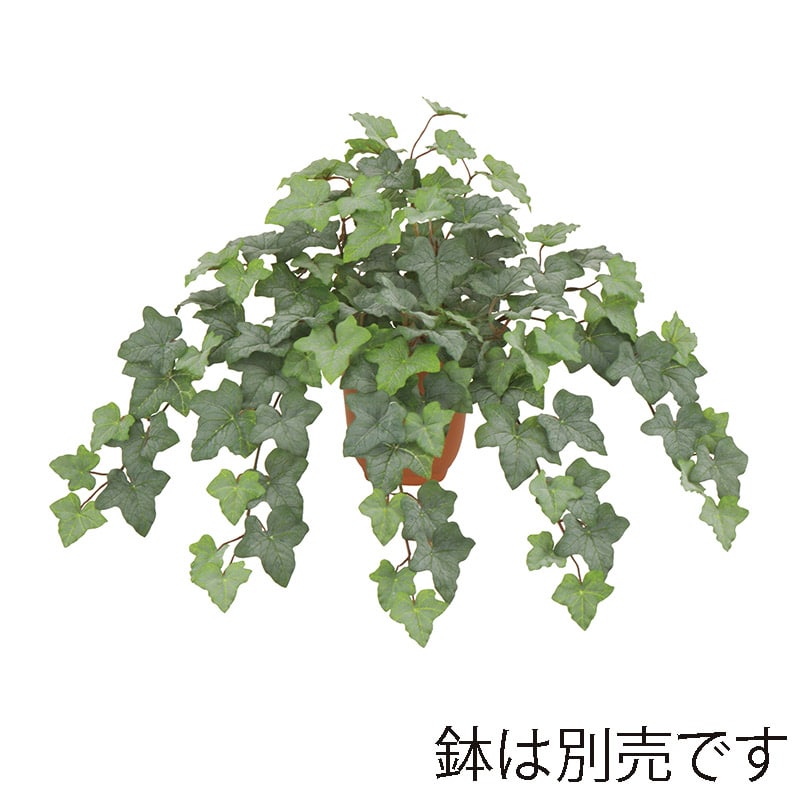 ドガ フロストバーミンガムアイビーブッシュ S LEB-8342-S 1本（ご注文単位1本）【直送品】