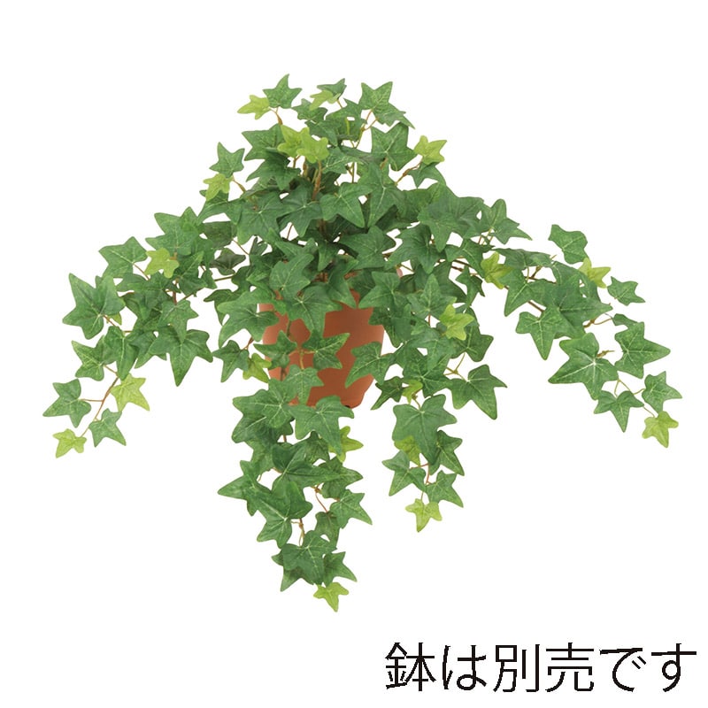 ドガ ユーロアイビーブッシュ S　グリーン LEB-8343-S 1本（ご注文単位1本）【直送品】