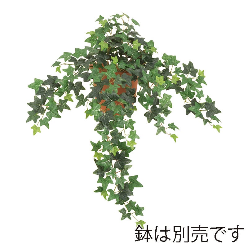 ドガ ユーロアイビーブッシュ L　ツートングリーン LEB-8343-L 1本（ご注文単位1本）【直送品】