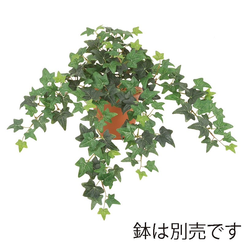 ドガ ユーロアイビーブッシュ S　ツートングリーン LEB-8343-S 1本（ご注文単位1本）【直送品】