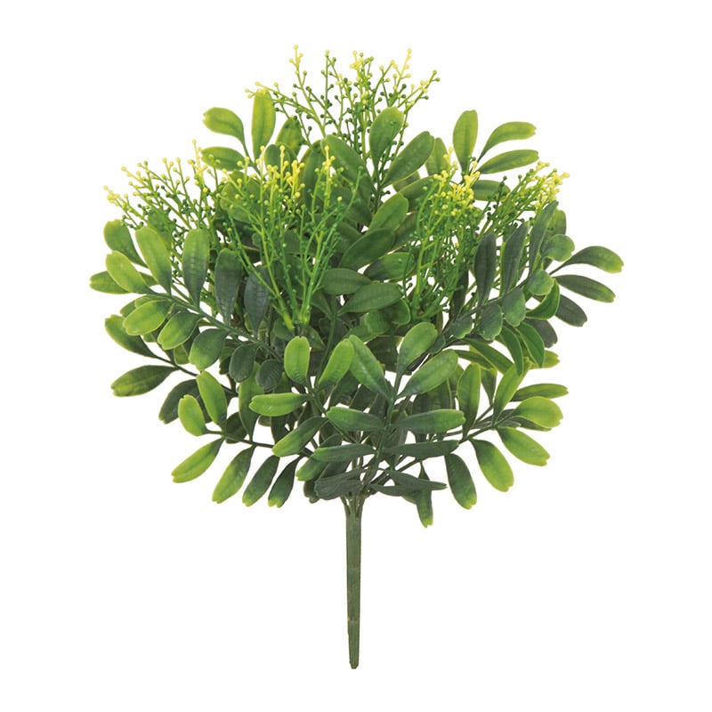 ドガ トベラリーフブッシュ LEB-8345 1本(ご注文単位1本)【直送品】