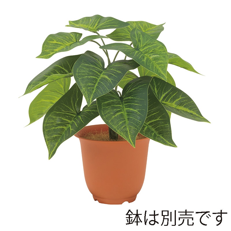 ドガ ウォータープルーフ シンゴニウムブッシュ LEB-8348 1本(ご注文単位1本)【直送品】