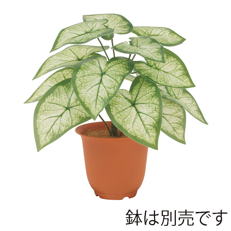 ドガ ウォータープルーフ　ベゴニアブッシュ ビニールコーティング LEB-8349 1本（ご注文単位1本）【直送品】