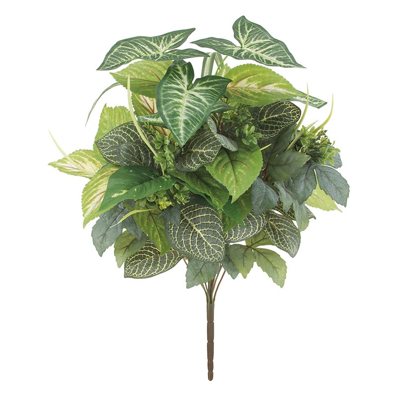 ドガ フィトニア／コレウスアソートブッシュ  LEB-8352 1本（ご注文単位1本）【直送品】