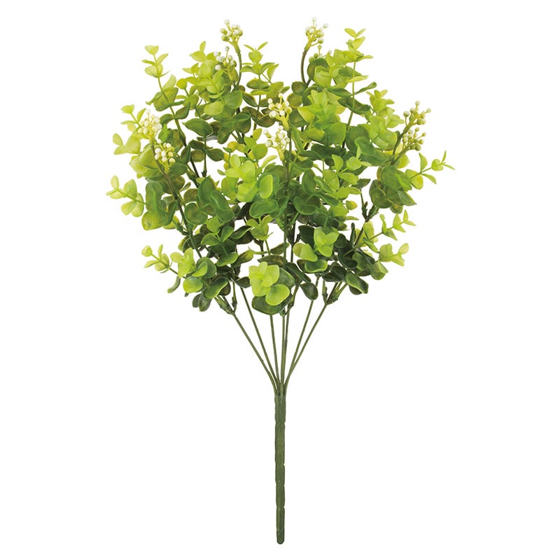 ドガ ユーカリブッシュ  LEB-8353 1本（ご注文単位1本）【直送品】