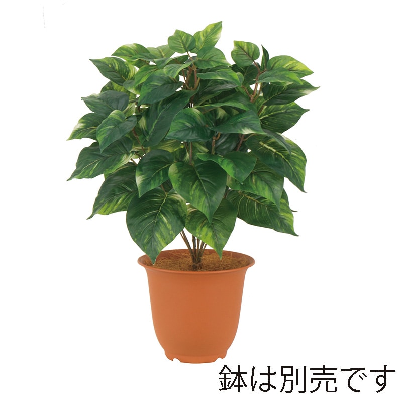 ドガ プレミアムポトスブッシュ ビニールコーティング LEB-8354 1本（ご注文単位1本）【直送品】