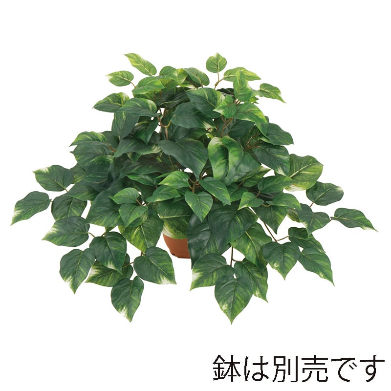 ドガ プレミアムポトスハンギングブッシュ S　ビニールコーティング LEB-8355-S 1本（ご注文単位1本）【直送品】