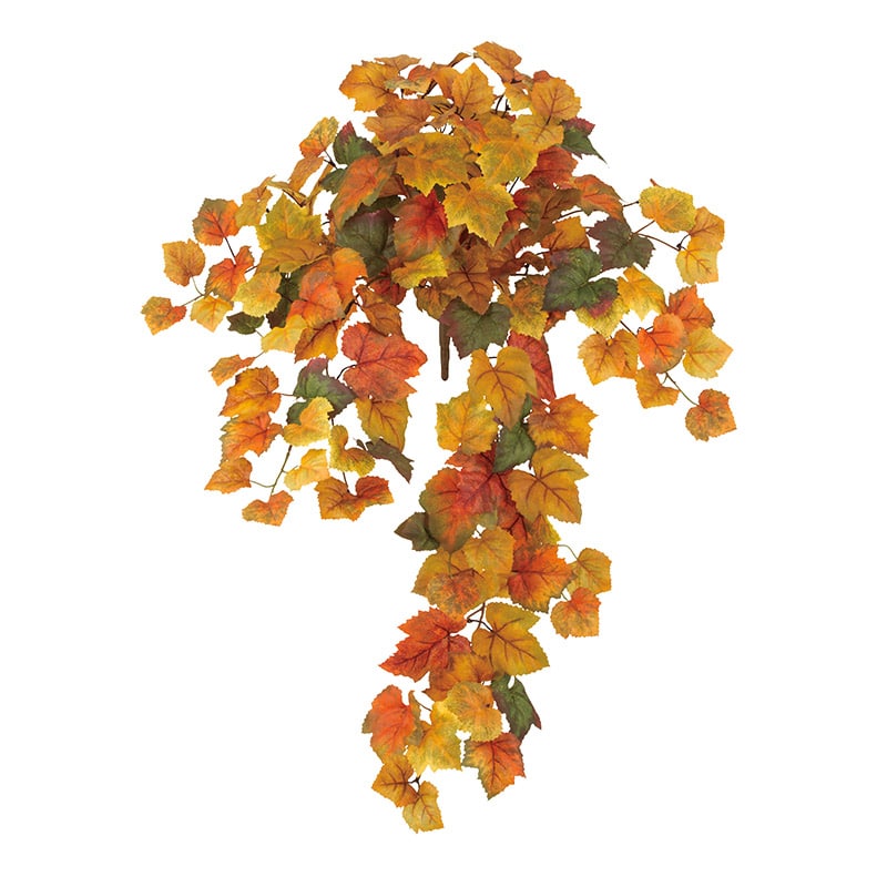 ドガ オータムミックスグレープブッシュ  LEB-8358 1本（ご注文単位1本）【直送品】