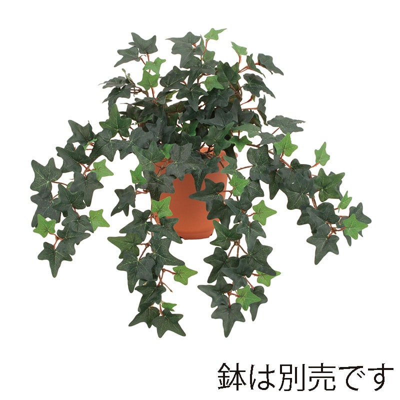 ドガ イングリッシュアイビーブッシュ S LEB-8360-S 1本（ご注文単位1本）【直送品】