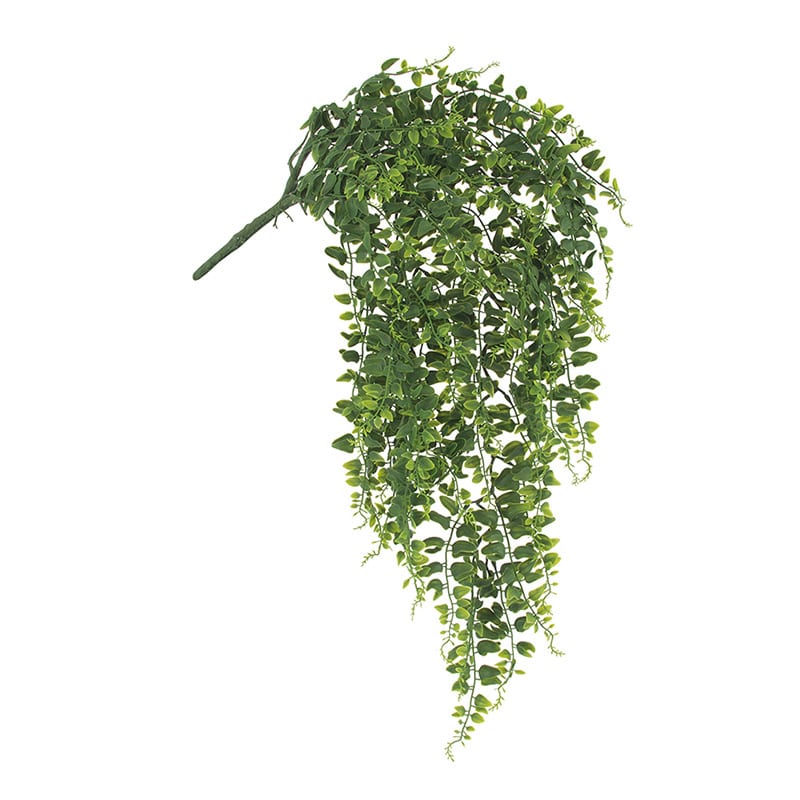 ドガ ベーカーファーンバイン  LEV-9035 1本（ご注文単位1本）【直送品】