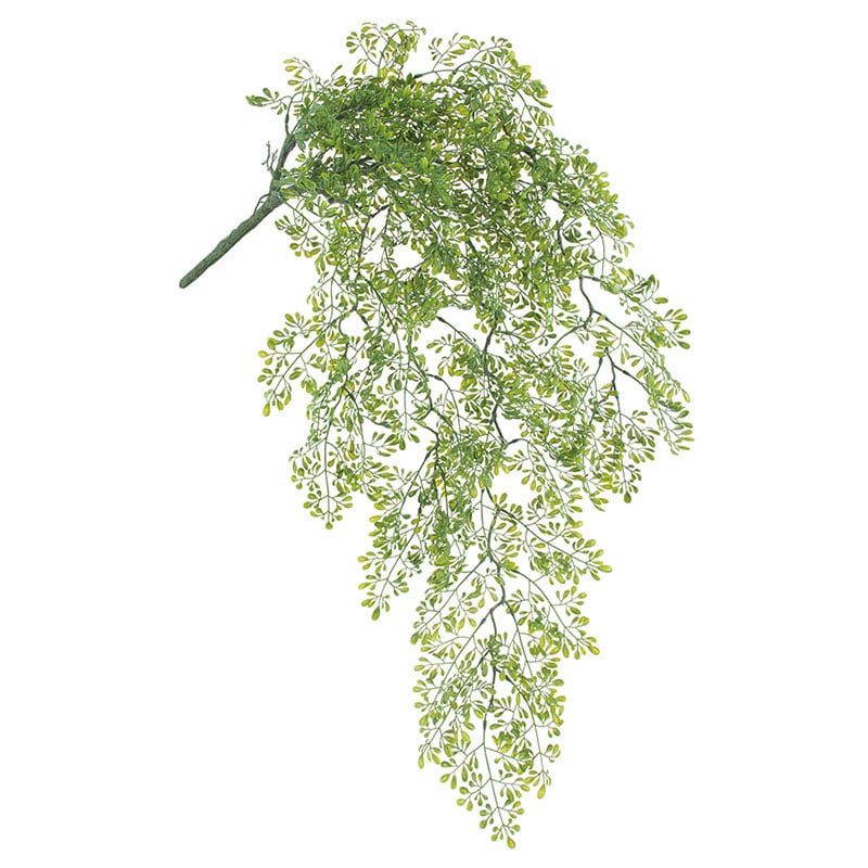 ドガ モリンガリーフバイン LEV-9036 1本(ご注文単位1本)【直送品】