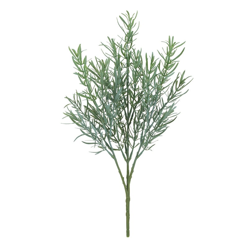 ドガ ローズマリーブッシュ フロストグリーン LEB-8364 1本（ご注文単位1本）【直送品】