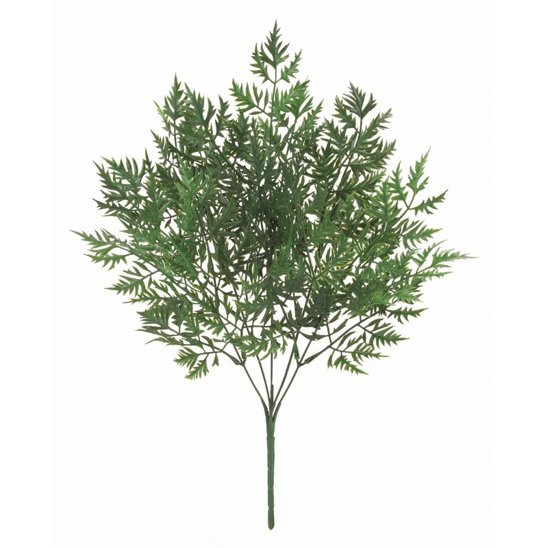 ドガ キャロットリーフブッシュ LEB-8373 1本(ご注文単位1本)【直送品】