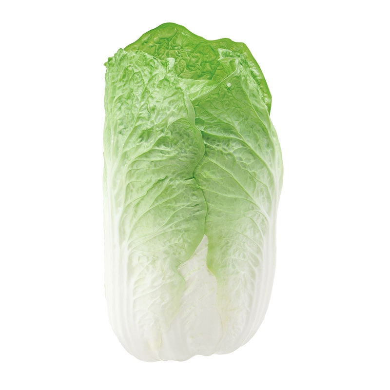 ドガ ディスプレイ　白菜  VF-1283 1個（ご注文単位1個）【直送品】