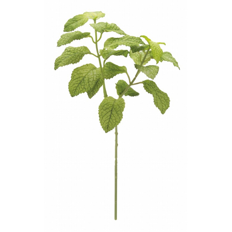 ドガ ペパーミント  LES-5175 1本（ご注文単位1本）【直送品】