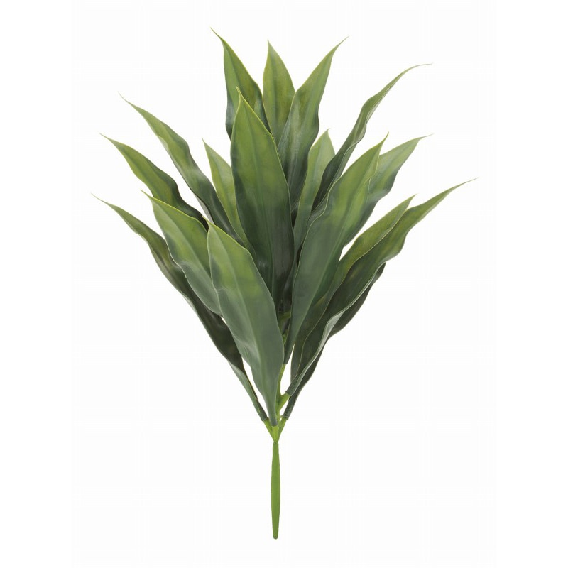 ドガ ドラセナブッシュ グリーン LEB-8178 1本（ご注文単位1本）【直送品】