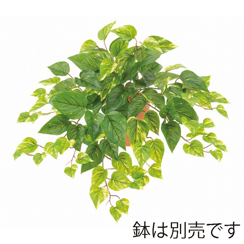 ドガ UVポトスブッシュ L　ビニールコーティング LEB-8377-L 1本（ご注文単位1本）【直送品】