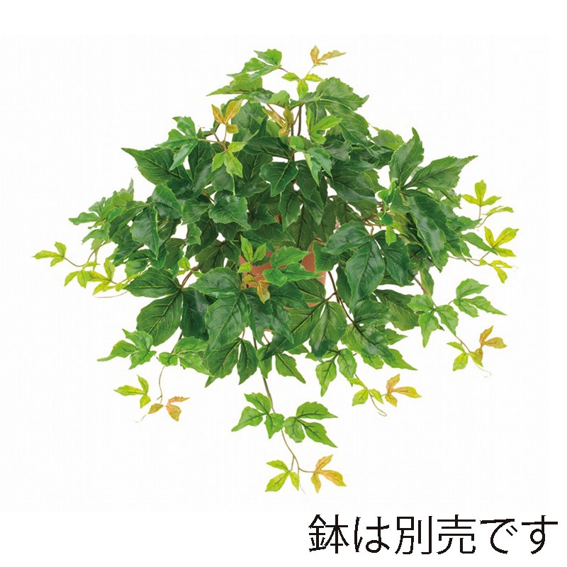 ドガ UVキヅタブッシュ L ビニールコーティング LEB-8380-L 1本(ご注文単位1本)【直送品】