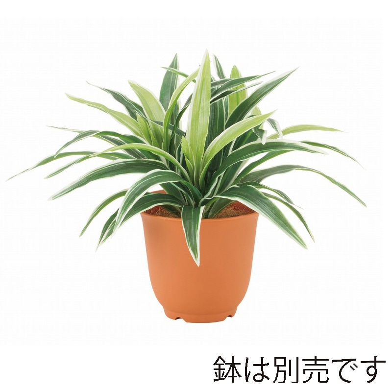 ドガ グラスブッシュ  LEB-8385 1本（ご注文単位1本）【直送品】