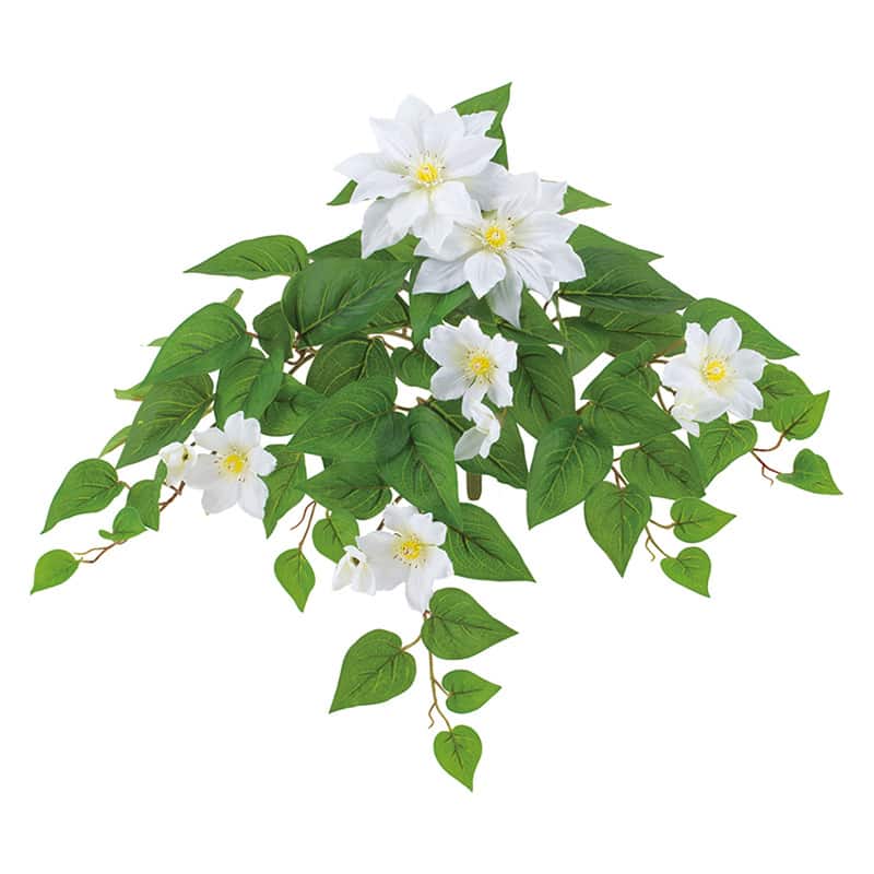 ドガ UVクレマチスブッシュ ホワイト FLB-8141 1本（ご注文単位1本）【直送品】