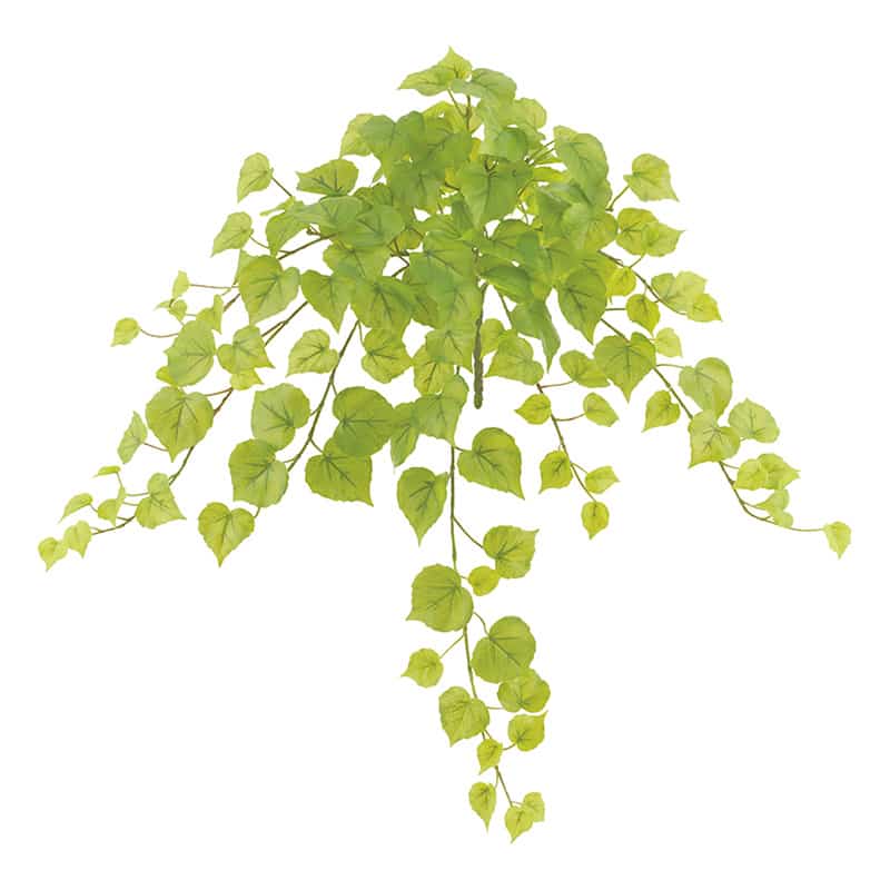 ドガ スプリングコットン ウッドブッシュ ウォータープルーフ 一体成型 LEB-8410 1個（ご注文単位1個）【直送品】