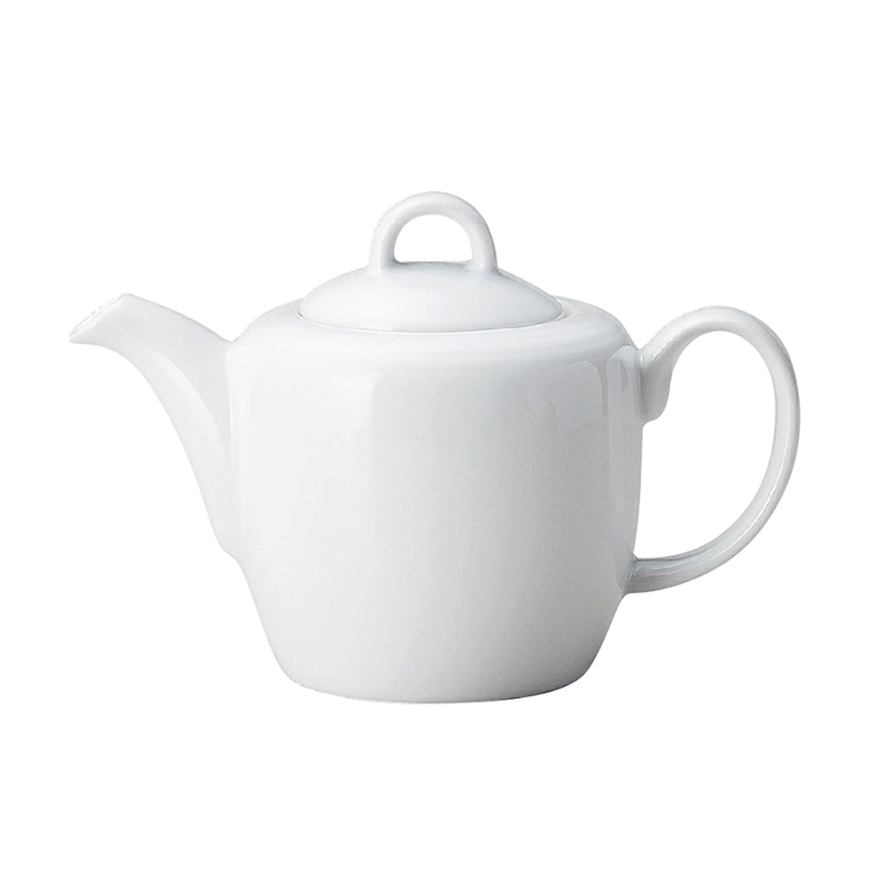 ミヤザキ食器 コスタヴェルデ デュオ ティーポット CV0106DU 1個（ご注文単位6個）【直送品】